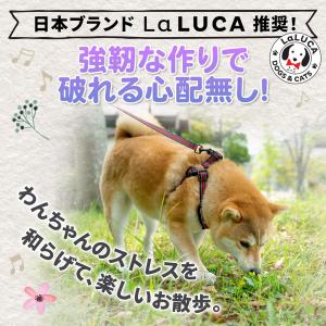 犬 ハーネス リード 抜けにくい 小型犬 中型...の詳細画像4
