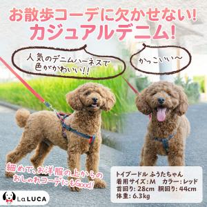 犬 ハーネス 定番 スタンダード 犬用ハーネス...の詳細画像3