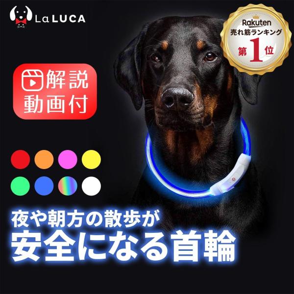 首輪 犬 おしゃれ 光る首輪 LED ライト USB充電式 小型犬 中型犬 大型犬 夜 散歩 安全 ...