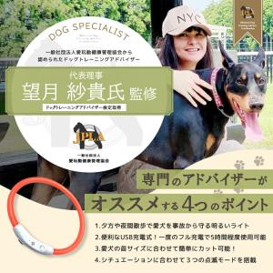 首輪 犬 おしゃれ 光る首輪 LED ライト ...の詳細画像2