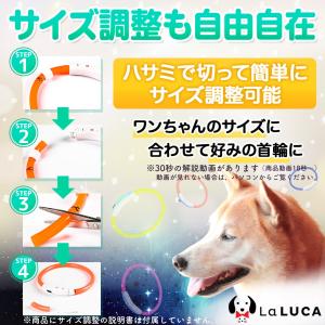 首輪 犬 おしゃれ 光る首輪 LED ライト ...の詳細画像4