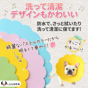 エリカラ ロング エリザベスカラー 猫 ネコ ...の詳細画像4