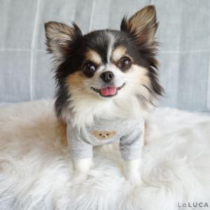 犬 服 ペット 犬服 ドッグウェア ペットウェ...の詳細画像3