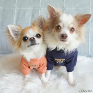 犬 服 ペット 犬服 ドッグウェア ペットウェ...の詳細画像4