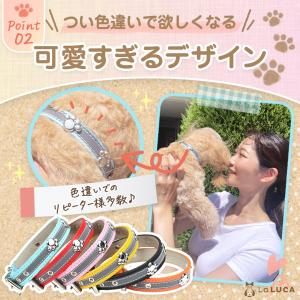 にくきゅーと首輪 首輪 犬 首輪 猫 首輪 お...の詳細画像3