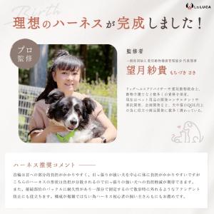 犬 ハーネス 小型犬 中型犬 大型犬 抜けにく...の詳細画像2