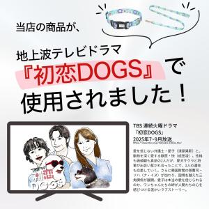 犬 首輪 小型犬 中型犬 大型犬 リード おし...の詳細画像1