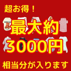 犬 服 福袋2026 ペットウェア ラッキーボ...の詳細画像3