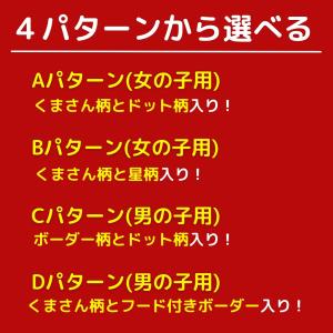 犬 服 福袋2026 ペットウェア ラッキーボ...の詳細画像5