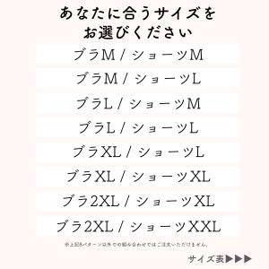 ベテラン助産師推薦 【6点セット 】授乳ブラ ...の詳細画像5