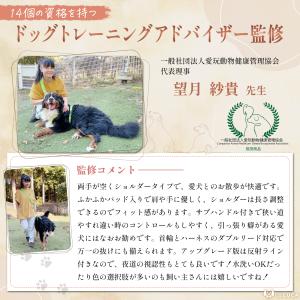 犬 ショルダーリード 反射ライン リード 小型...の詳細画像4