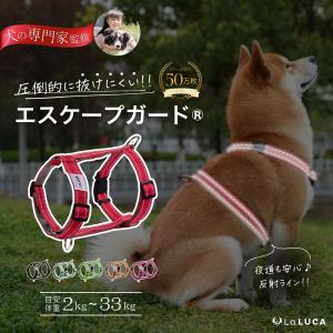犬 ハーネス 小型犬 中型犬 大型犬 抜けにくい 抜けない 脱げにくい 脱げない エスケープガード 柴犬 おしゃれ かわいい 速乾 雨の日 安心 LaLUCA  ポイント利用｜yokadoh-shop