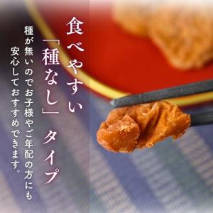 種なし干し梅 300g 【お得 な 100g ...の詳細画像1