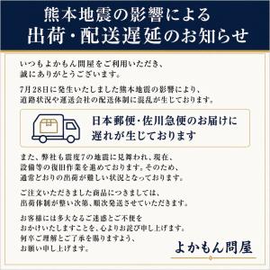 高級ほたての仲間 いたや貝 干し貝柱 500g...の詳細画像2