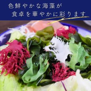 6種類 の 国内産 海藻 サラダ 100g 【...の詳細画像2
