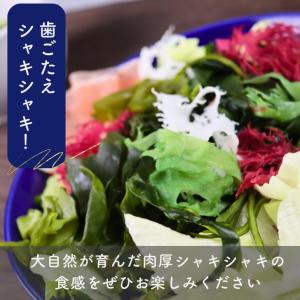 6種類 の 国内産 海藻 サラダ 100g 【...の詳細画像4