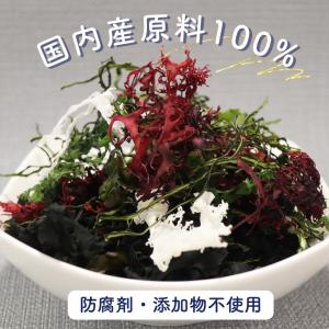 6種類 の 国内産 海藻 サラダ 100g 【...の詳細画像5