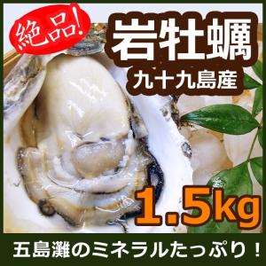 『絶品とろけるうまか岩牡蠣』計1.5kgセット 長崎県九十九島からの贈り物