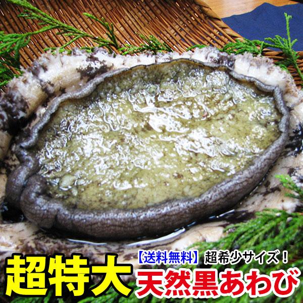 【24年12月29日よりお届け予定】超特大黒アワビ 500g前後1枚 送料無料 レア食材！届いてビッ...