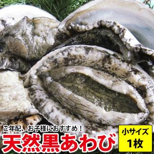 天然黒あわび(アワビ) 100g前後1枚 サザエと一緒にいかが？ 同梱 よか鮑 黒アワビ