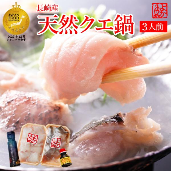 父の日 まだ間に合う 長崎産天然クエ鍋 3人前 クエ計550g前後 クエだしの素付 クエ鍋セット 天...