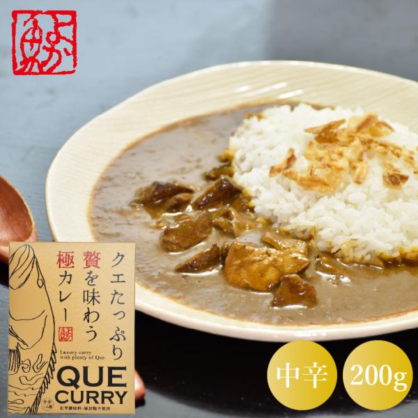 メール便 「クエたっぷり 贅を味わう極カレー 中辛 1人前200g」 クエ本来の旨みを活かした、自然...