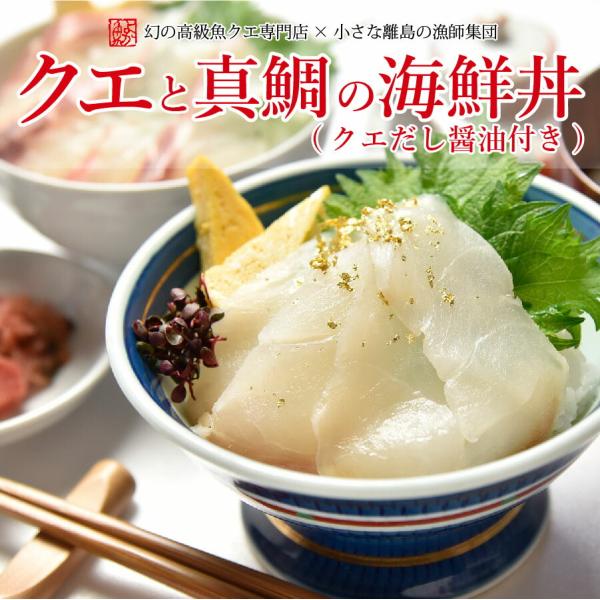 お歳暮 長崎産天然クエと真鯛の海鮮丼セット クエだし醤油付き  産地グルメ クエ刺身 鯛刺身 プロト...