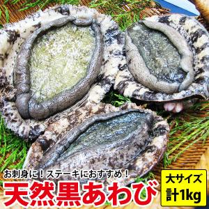 長崎産天然黒アワビ 大サイズ 計1kg (1枚200g以上の食べ応え満点サイズを3枚〜5枚) 送料無料 よか鮑 黒あわび