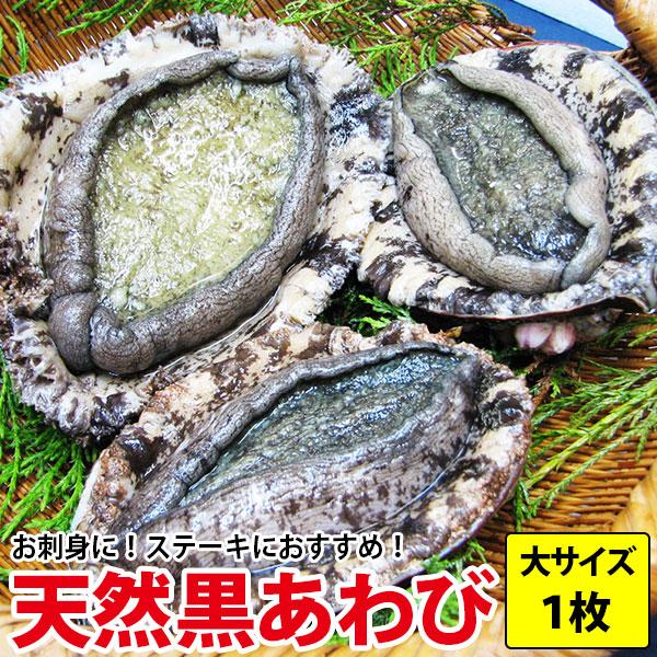 長崎産天然黒アワビ 220g前後1枚 九州九十九島の豊かな海で育ちました 同梱 よか鮑 黒あわび 爆...