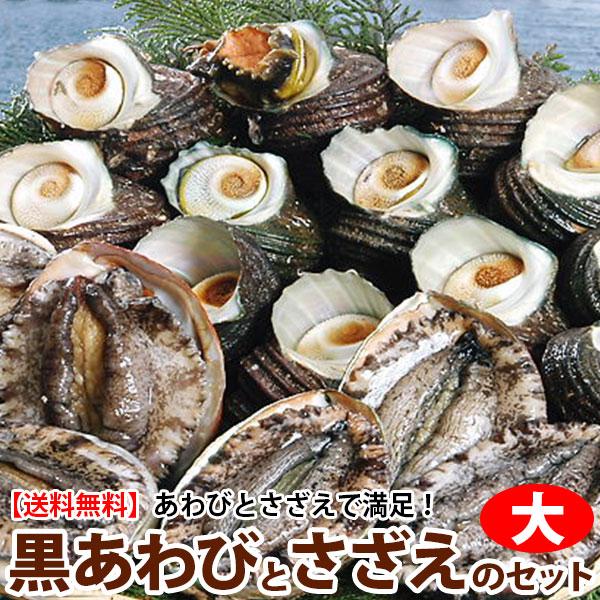 天然黒アワビと活サザエベストセット(大)よか魚イチ押し！お得！送料無料 よか鮑 黒あわび
