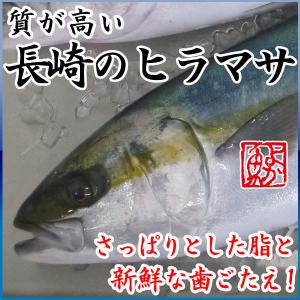 よか魚 Com ヒラマサ 旬の鮮魚 Yahoo ショッピング