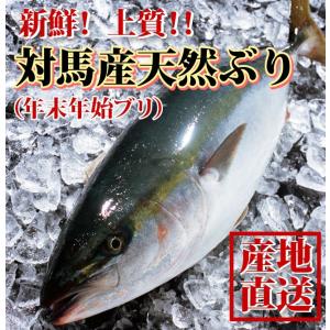 【年末年始お届け分受付終了】 天然ブリ(寒ブリ) 3kg前後1本  一本釣りで水揚げされた最高級品！(送料無料) ※こちらは12/28〜1/1お届け分