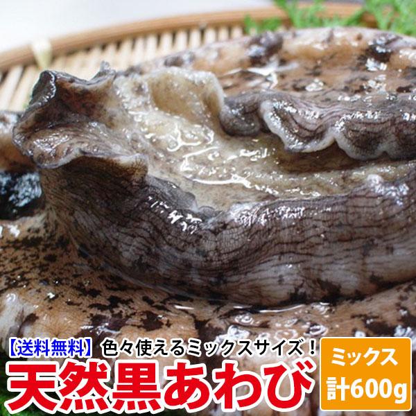 長崎産天然黒アワビ(黒あわび) 中・小ミックス 計600g 送料無料 よか鮑 黒アワビ 爆買