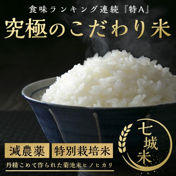 特別栽培米　熊本県産こだわり七城米　ヒノヒカリ ５ｋｇ×２袋　菊池米　減農薬米　米10kg