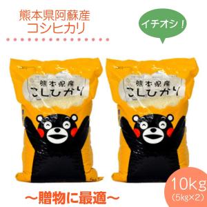 平成29年 熊本県阿蘇産 コシヒカリ精白米10kg(5kg×...