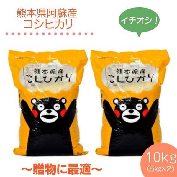 米10kg　令和4年　熊本県阿蘇産コシヒカリ精白米10kg(5kg×2袋)　くまモン　白米10kg