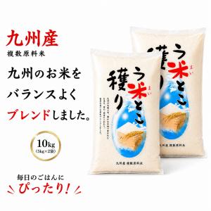 ヒノヒカリ 2025年秋収穫 ひのひかり 10kg 兵庫県 播州小野産米 冷却 