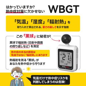 BaldrTherm 黒球式 熱中症指数計 湿...の詳細画像3