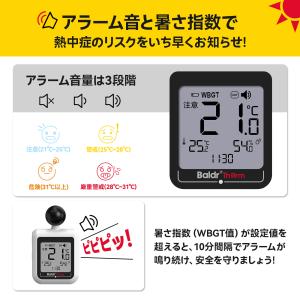 BaldrTherm 黒球式 熱中症指数計 湿...の詳細画像5