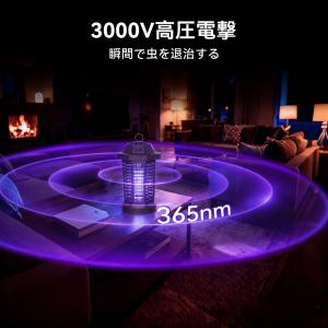 BaldrZap 電撃殺虫器 蚊取り器 捕虫器...の詳細画像1