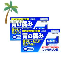 ファモチジン錠「クニヒロ」12錠 2個セットメール便 送料無料 第1類医薬品 胃痛 胸焼け 胃もたれ むかつき 市販 錠剤 ガスター10 ジェネリック｜四日町薬局