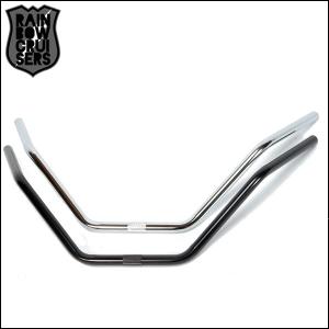 ビーチクルーザー RAINBOW レインボー フラットトラックバー