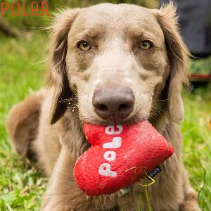 POLER ポーラー 犬 ぬいぐるみ おもちゃ 音が鳴る 噛む ハート ギフト おしゃれ アウトドア｜yoko-nori