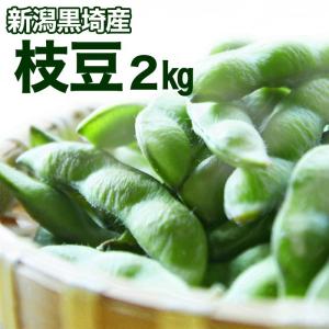 新潟県黒埼産 くろさき茶豆　A品2kg  B品4kg 黒埼産茶豆2kg（1kg2個入）彩り農園｜新潟朱鷺メキ市場