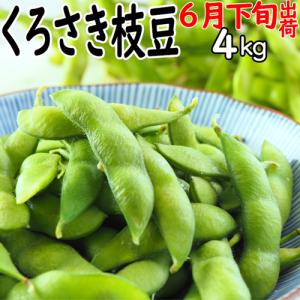 黒埼枝豆 A級品 新潟 黒埼板井産 2kg「く...の詳細画像3