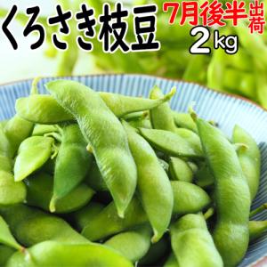 黒埼枝豆 A級品 新潟 黒埼板井産 2kg「く...の詳細画像5