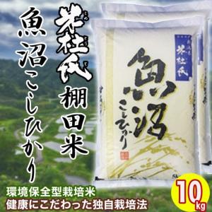 お米 米 魚沼産 棚田米 こしひかり 10kg (5kg×2) 令和5年産 米杜氏ブランド 送料無料 単一原料米 精米 コシヒカリ 白米 新潟県