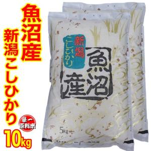 ☆五つ星お米マイスター厳選米  令和5年産 魚沼産 コシヒカリ10kg (5kg×2) (産地直送米)  白米 精米仕立て 低温倉庫管理米 米 10kg　新潟米｜越後雪国地酒連峰