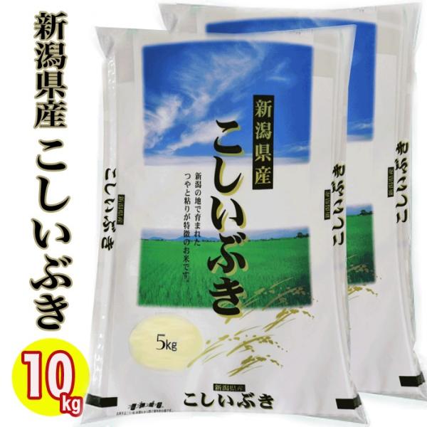 新米 令和7年産 新潟県産こしいぶき 10kg (5kg×2) 令和7年産  (新潟産直米) 白米 ...