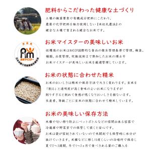 お米マイスター厳選米 令和7年産 新潟県産 ミ...の詳細画像2